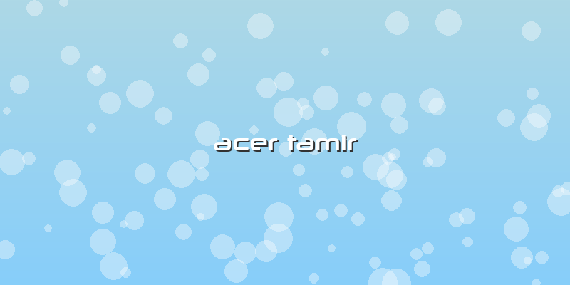 Acer Tamir