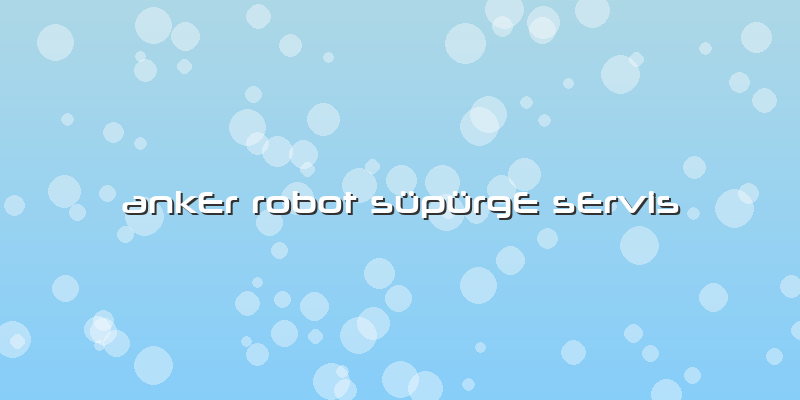 Anker Robot Süpürge Servis