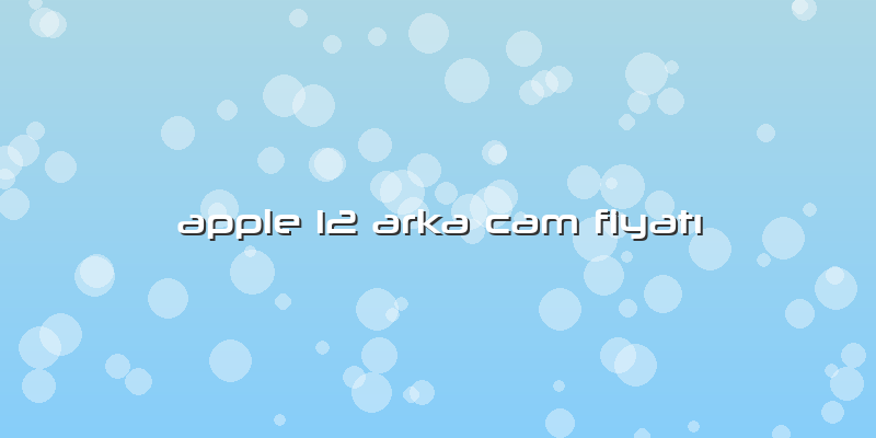 Apple 12 Arka Cam FiyatÄ±
