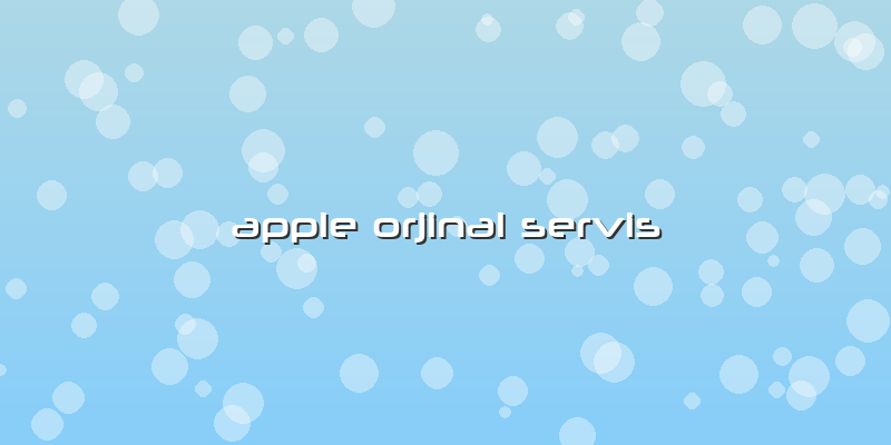 Apple Orjinal Servis