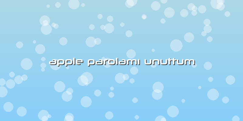 Apple Parolamı Unuttum