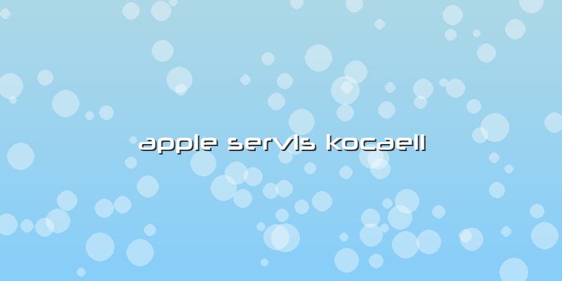Apple Servis Kocaeli