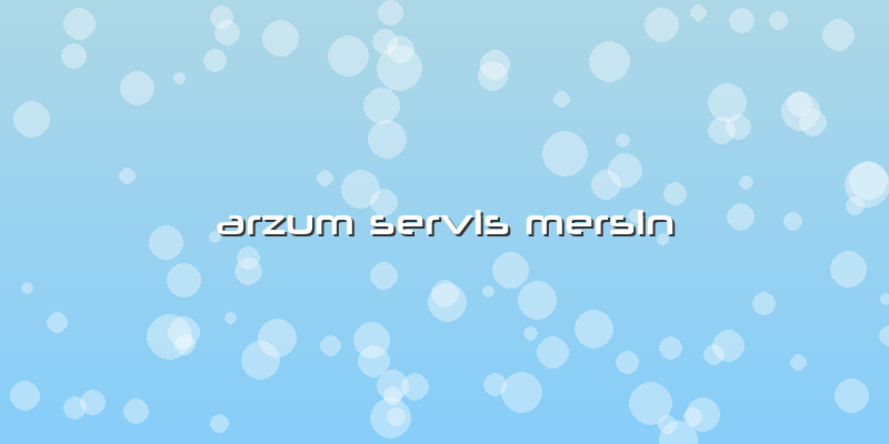 Arzum Servis Mersin