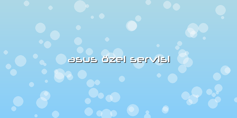 Asus özel Servisi