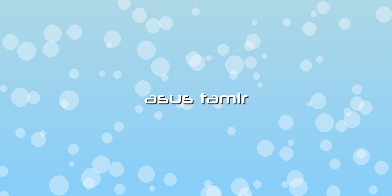 Asus Tamir