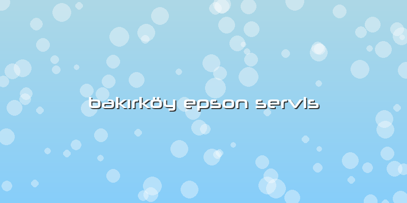 Bakırköy Epson Servis