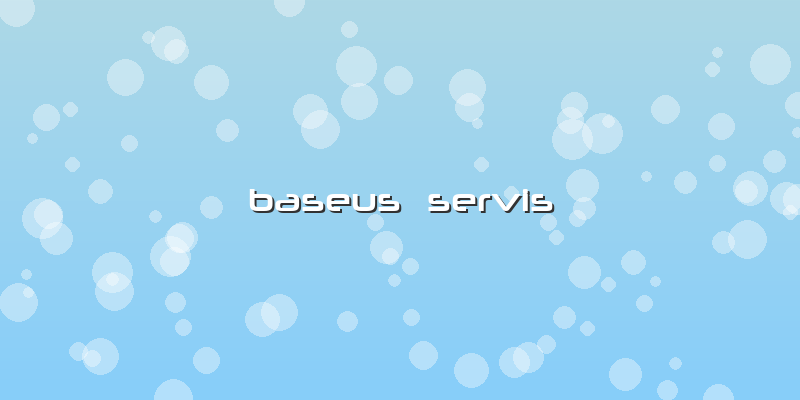 Baseus  Servis