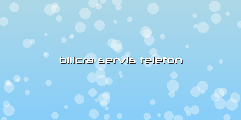 Bilicra Servis Telefon