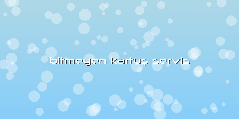 Bitmeyen Kartuş Servis