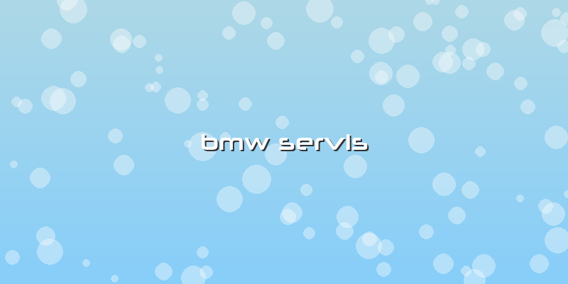 Bmw Servis