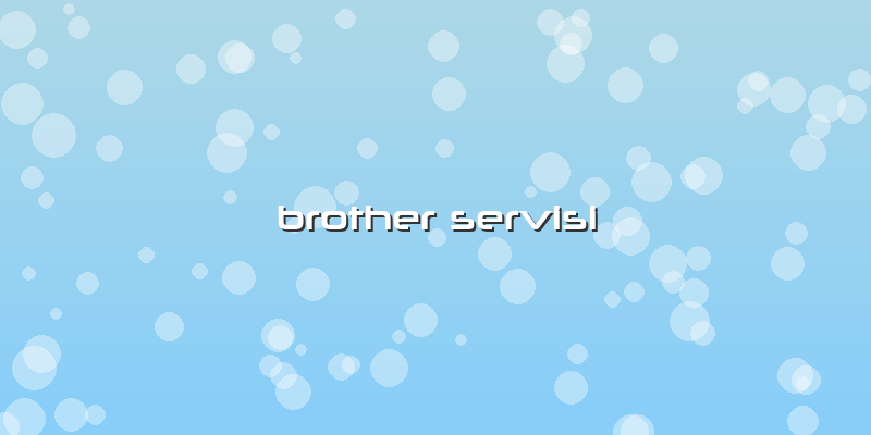 Brother Servisi