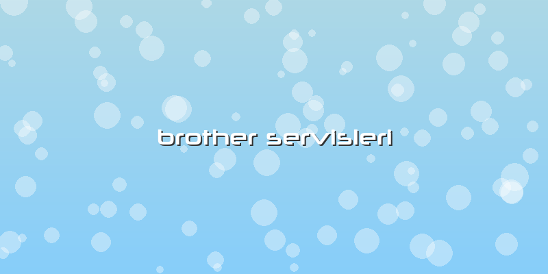 Brother Servisleri