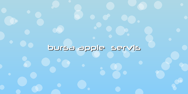 Bursa Apple  Servis