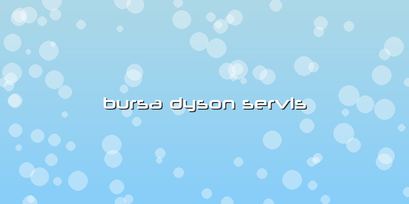 Bursa Dyson Servis