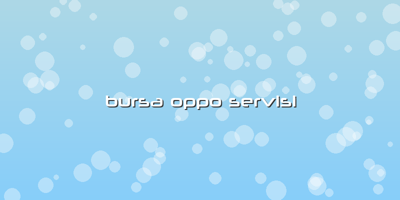 Bursa Oppo Servisi