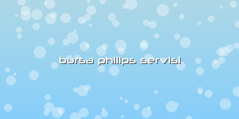 Bursa Philips Servisi