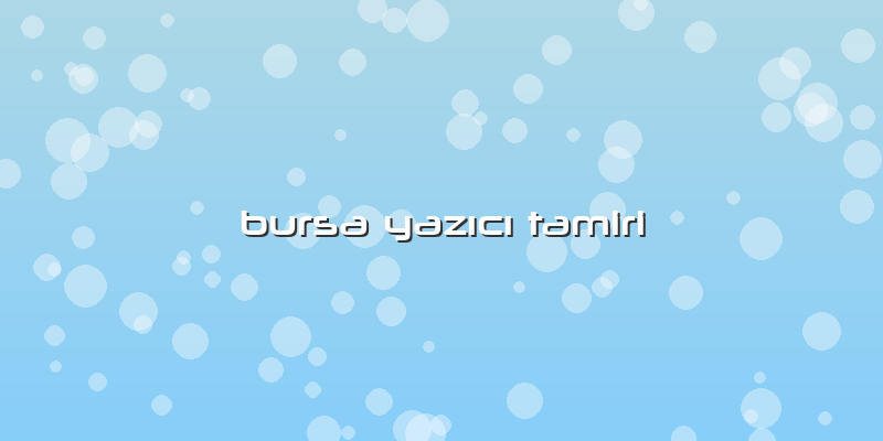 Bursa Yazıcı Tamiri
