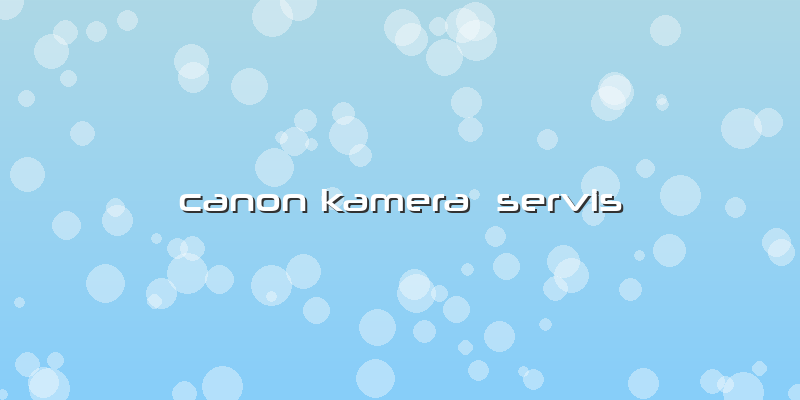 Canon Kamera  Servis
