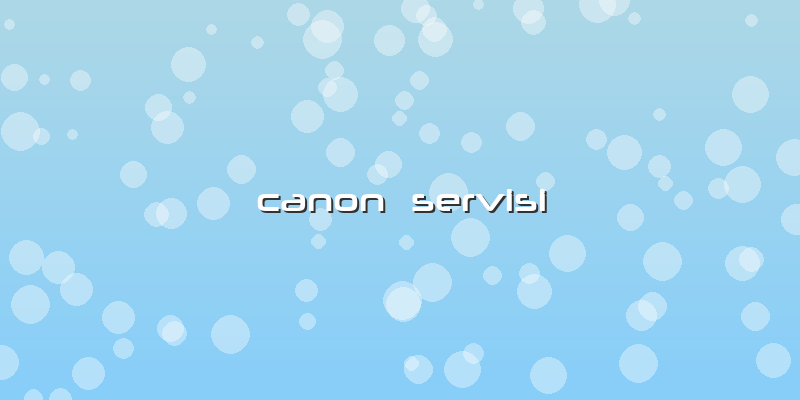 Canon  Servisi