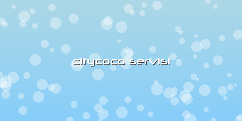 Citycoco Servisi