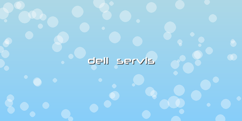 Dell Servis