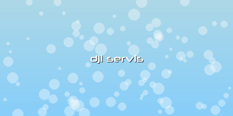 Dji Servis