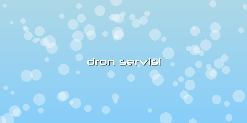 Dron Servisi