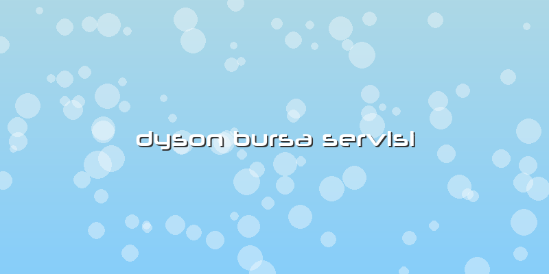 Dyson Bursa Servisi