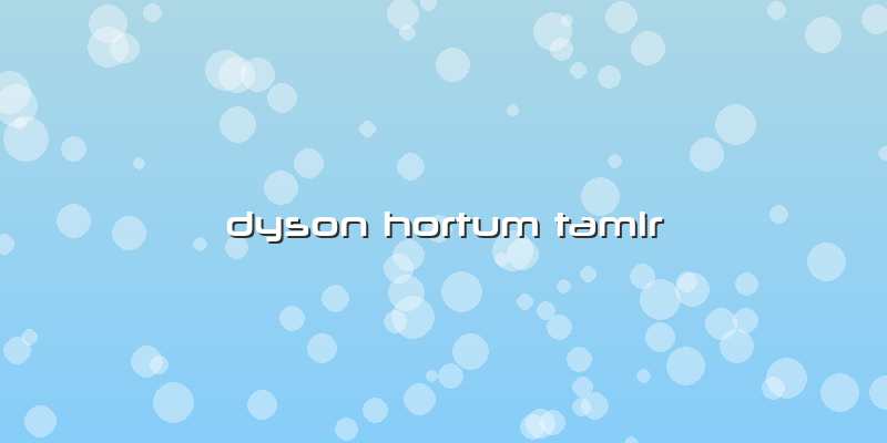 Dyson Hortum Tamir