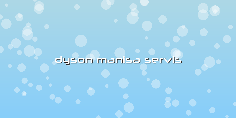 Dyson Manisa Servis