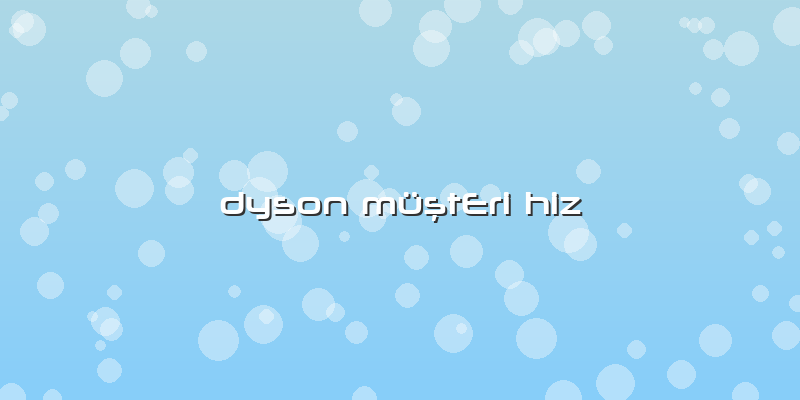Dyson MüÅŸtEri Hiz