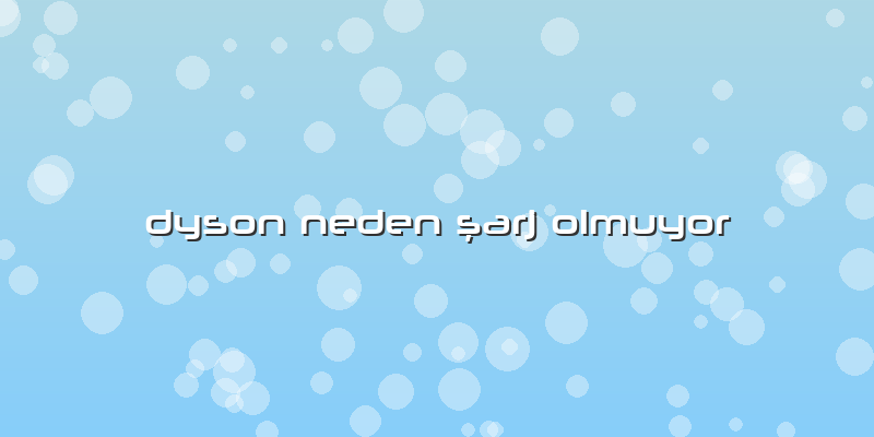 Dyson Neden şarj Olmuyor