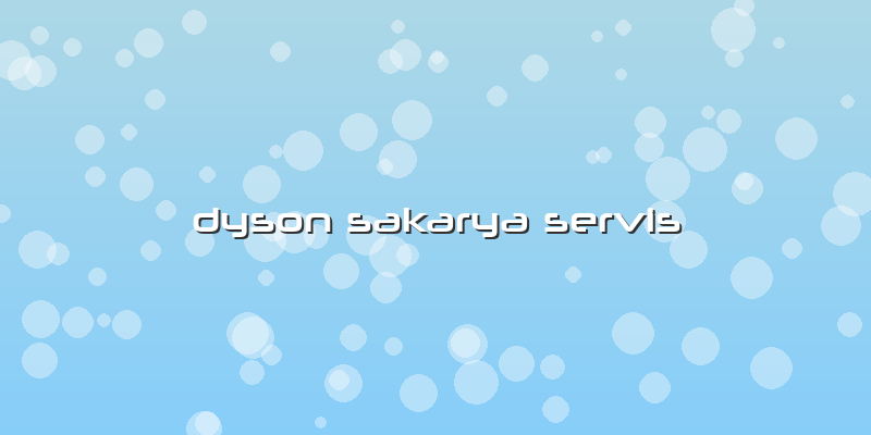 Dyson Sakarya Servis