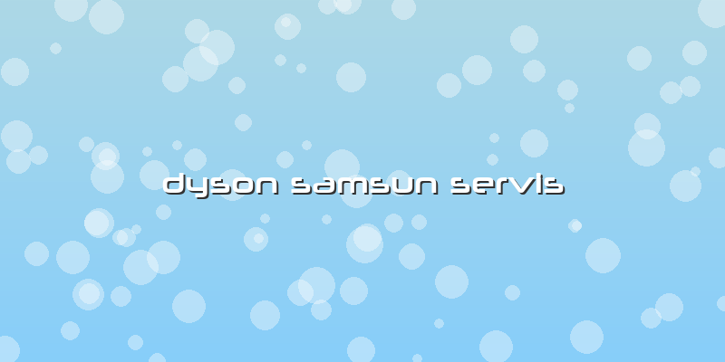 Dyson Samsun Servis