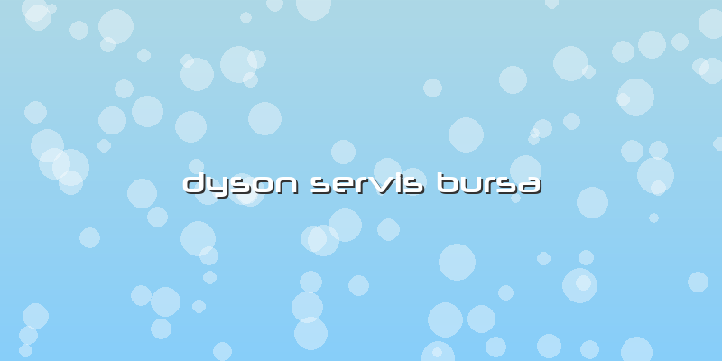 Dyson Servis Bursa
