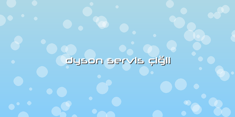 Dyson Servis çiğli