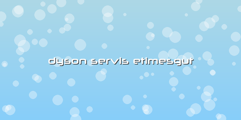 Dyson Servis Etimesgut