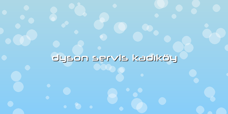 Dyson Servis Kadıköy