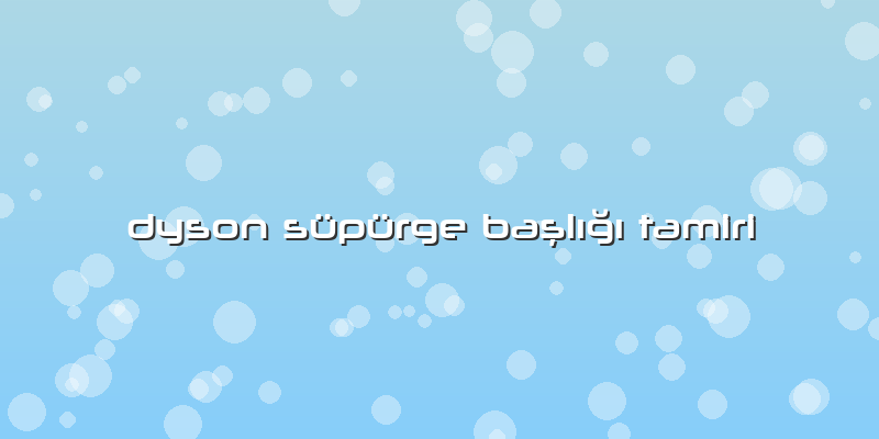 Dyson Süpürge BAÅŸlÄ±ÄŸÄ± TAmiri