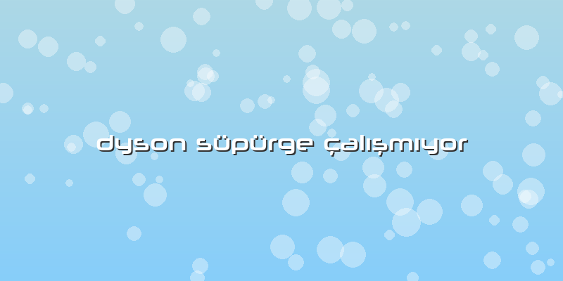Dyson Süpürge çalışmıyor