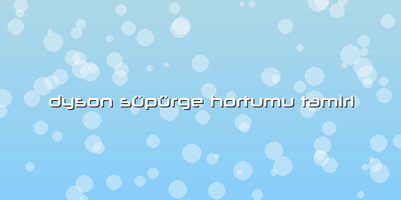 Dyson Süpürge Hortumu Tamiri