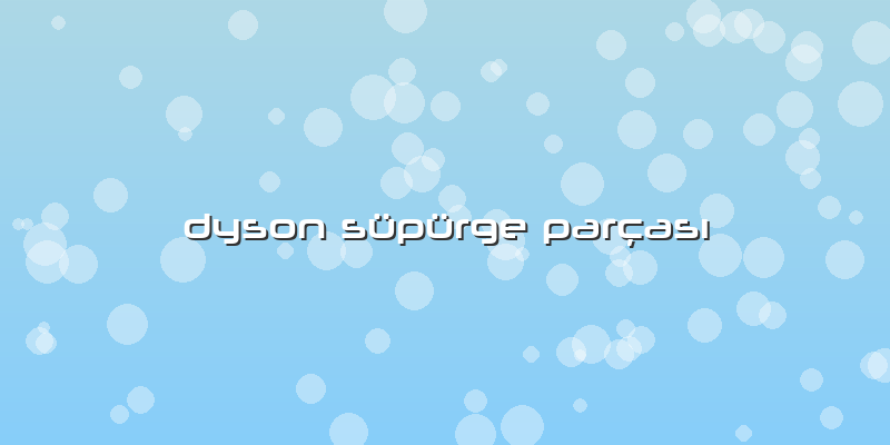 Dyson Süpürge Parçası