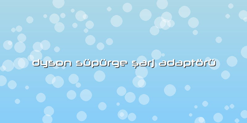 Dyson Süpürge şarj Adaptörü