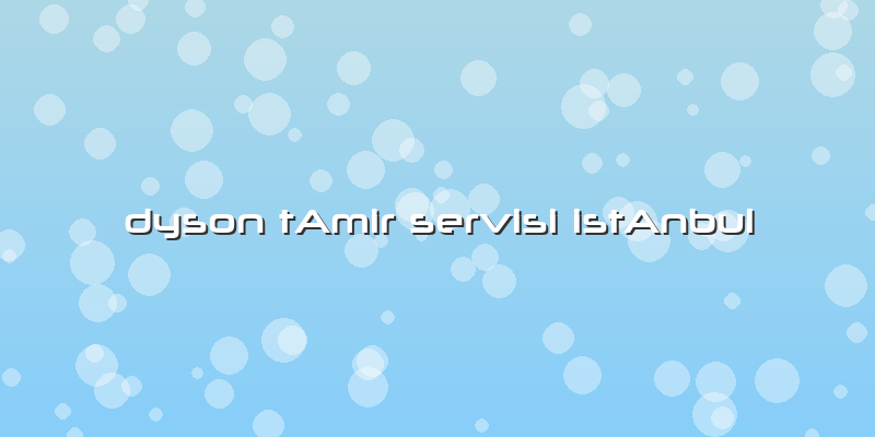 Dyson TAmir Servisi IstAnbul