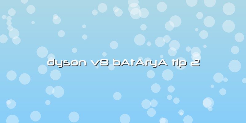 Dyson V8 BAtAryA Tip 2