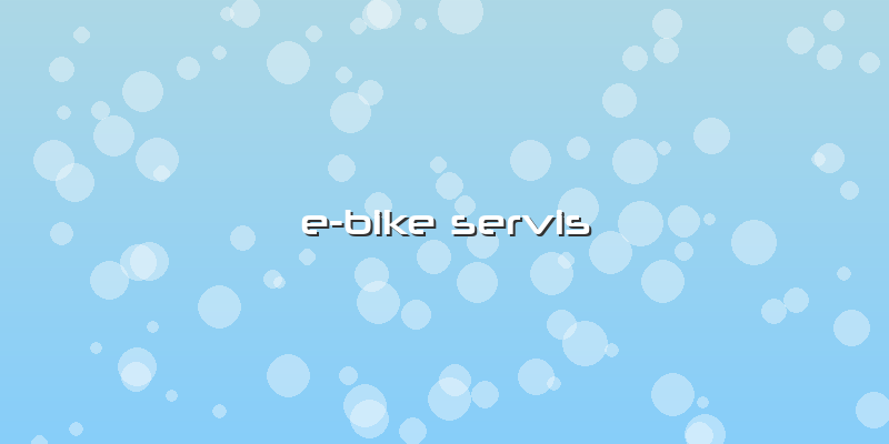 E-bike Servis