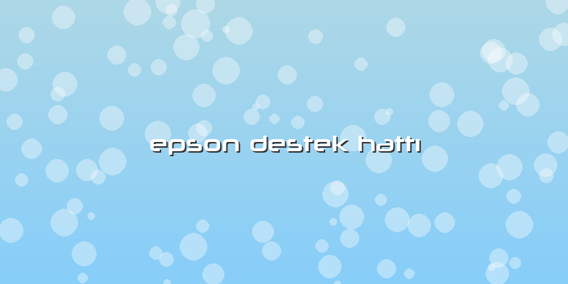 Epson Destek Hattı