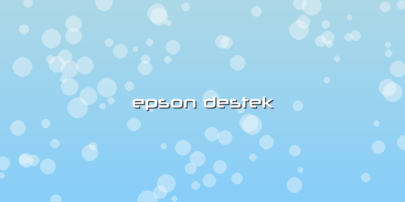 Epson Destek