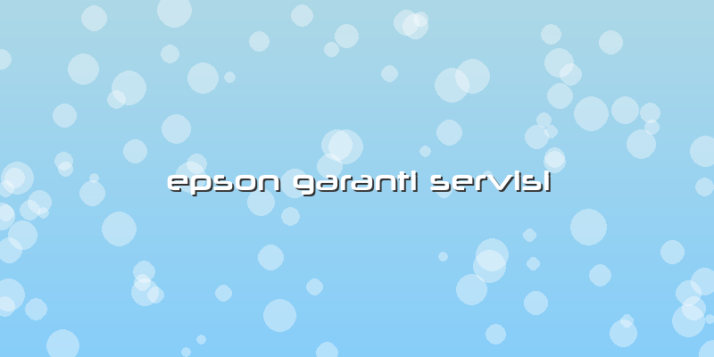 Epson Garanti Servisi