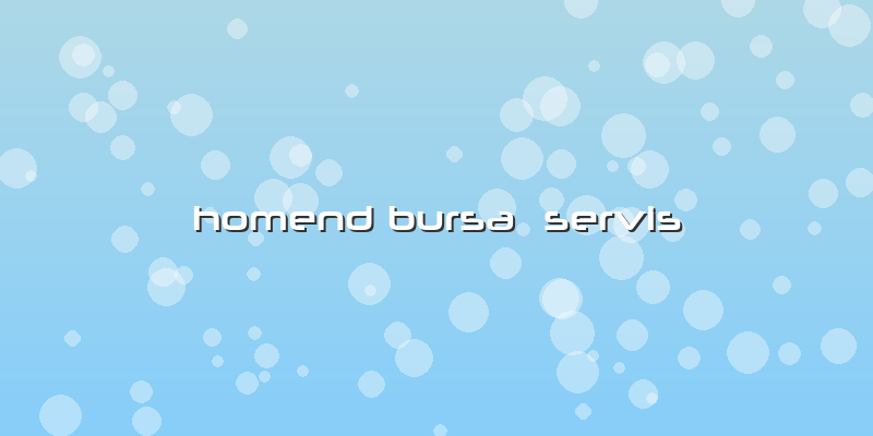 Homend Bursa  Servis